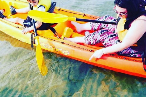 Batemans Bay Glass-Bottom Kayak Tour Over 2 Relaxing Hours - Hervey Bay Accommodation 6