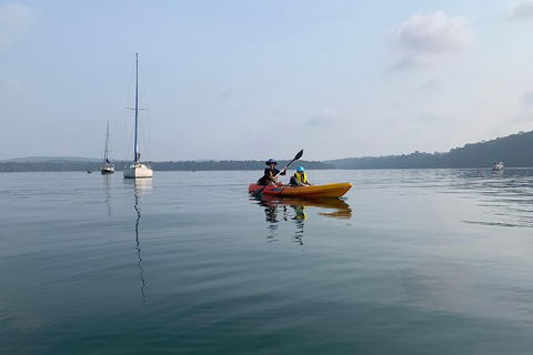 Batemans Bay Glass-Bottom Kayak Tour Over 2 Relaxing Hours - Hervey Bay Accommodation 7