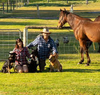 Meet The Animals - Hervey Bay Accommodation