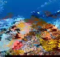 Agincourt Reef