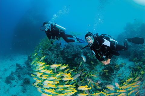 Agincourt Reef - Hervey Bay Accommodation 2