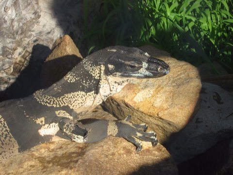 Armadale Reptile Centre - Hervey Bay Accommodation 0