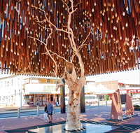 Barcaldine - Tourism Hervey Bay