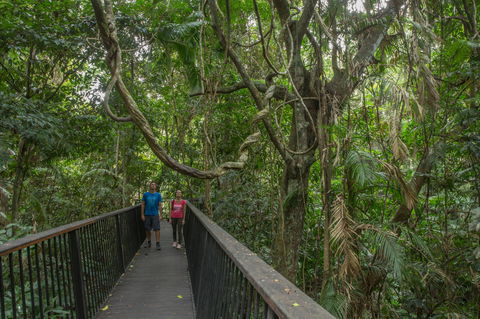 Barron Gorge National Park - Hervey Bay Accommodation 2