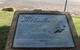 Barmera Aquatic Sporting Pioneers - thumb 1