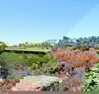 Bladensburg National Park - Hervey Bay Accommodation