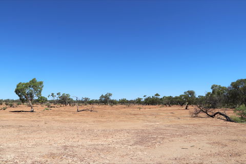 Bladensburg National Park - Hervey Bay Accommodation 1