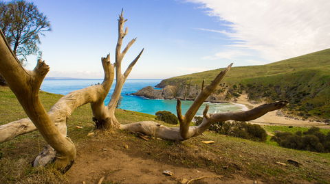 Blowhole Beach - Hervey Bay Accommodation 0