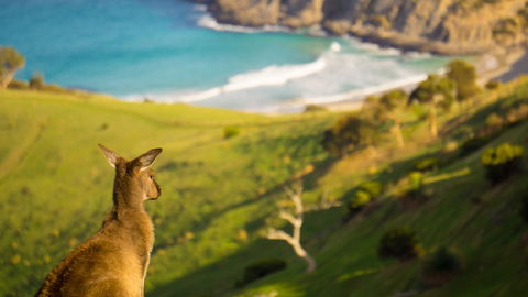 Blowhole Beach - Hervey Bay Accommodation 1