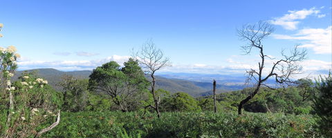 Blue Range Camping And Picnic Area - Hervey Bay Accommodation 0