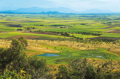 Burdekin - Tourism Hervey Bay 1