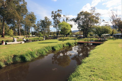 Buxton Trout And Salmon Farm - Hervey Bay Accommodation 1