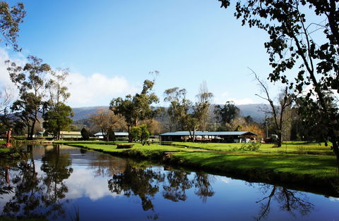 Buxton Trout And Salmon Farm - Hervey Bay Accommodation 2