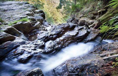 Casuarina Falls Circuit - Hervey Bay Accommodation 0