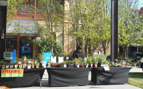 Clare Show Market - Tourism Hervey Bay 0