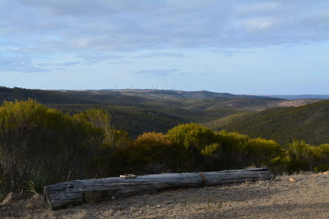 Cleve Hills Scenic Drive & Lookout - Hervey Bay Accommodation 0