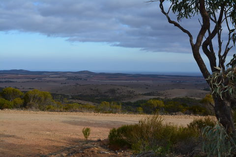 Cleve Hills Scenic Drive & Lookout - Hervey Bay Accommodation 1