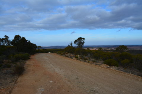 Cleve Hills Scenic Drive & Lookout - Hervey Bay Accommodation 2