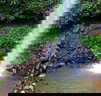 Crystal Shower Falls Walk - Hervey Bay Accommodation