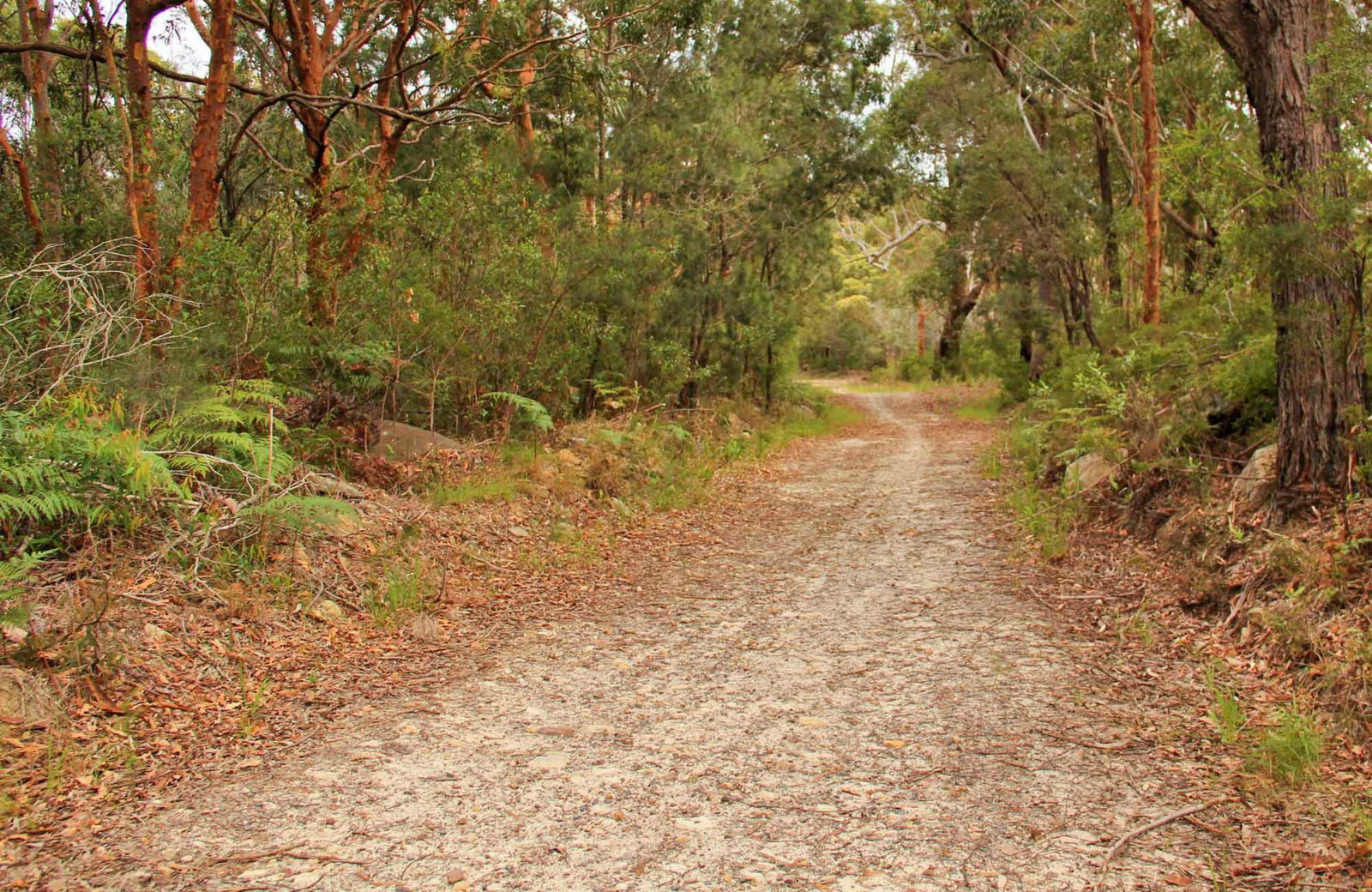 Killcare Heights NSW Hervey Bay Accommodation