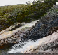Davies Creek National Park and Dinden National Park - Hervey Bay Accommodation
