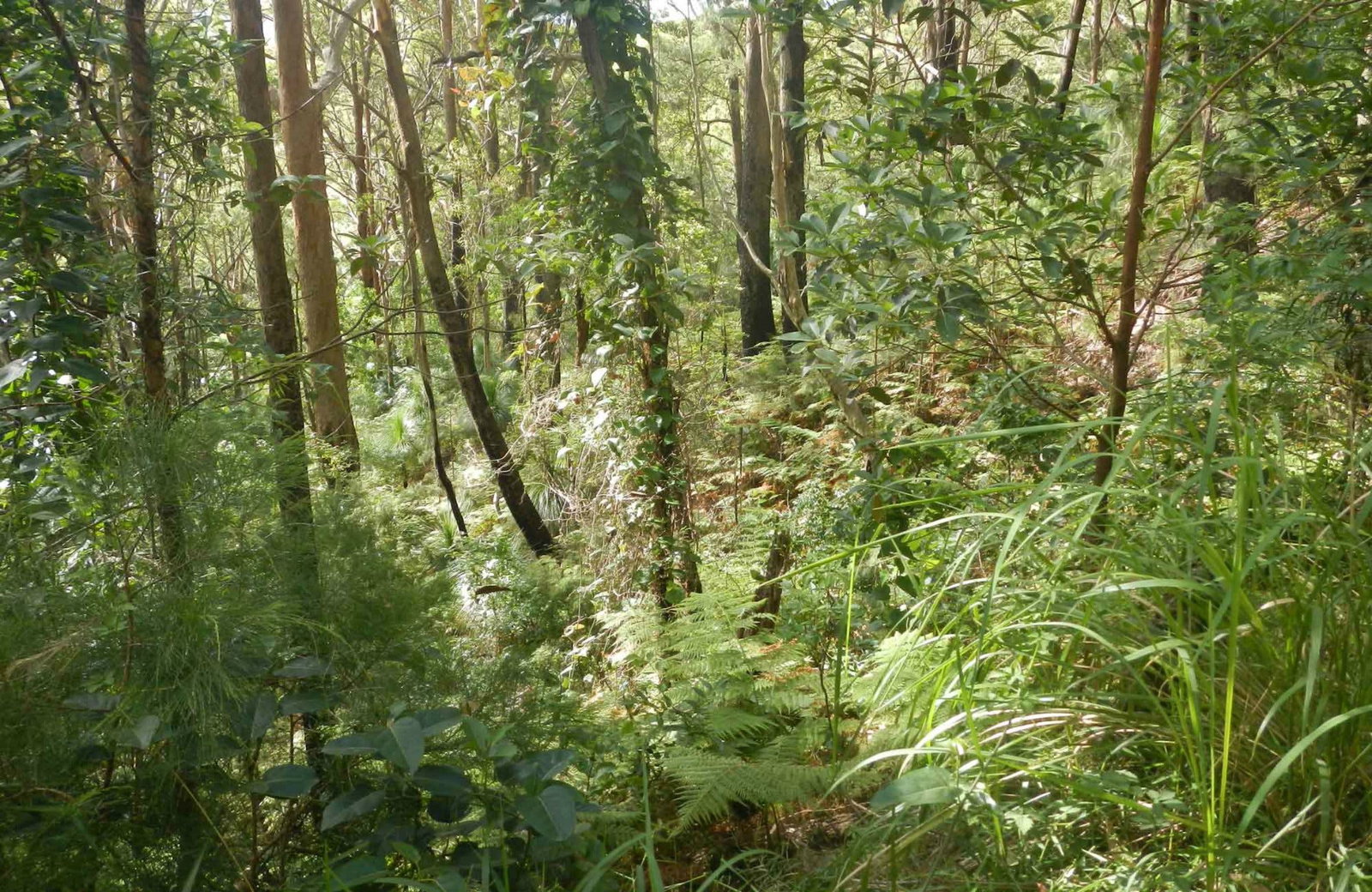 Arakoon NSW Hervey Bay Accommodation