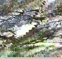 Gathercole Nature Reserve - Tourism Hervey Bay