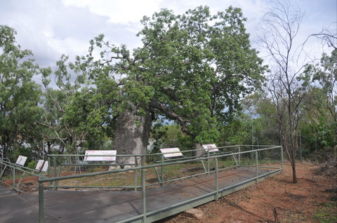 Gregory's Tree, Timber Creek - Hervey Bay Accommodation 1