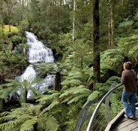 Great Otway National Park - Hervey Bay Accommodation