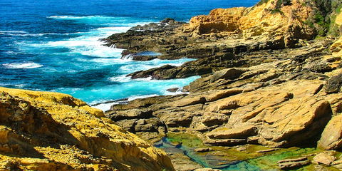 Gumnut Hideaway Gallery - Tourism Hervey Bay 2