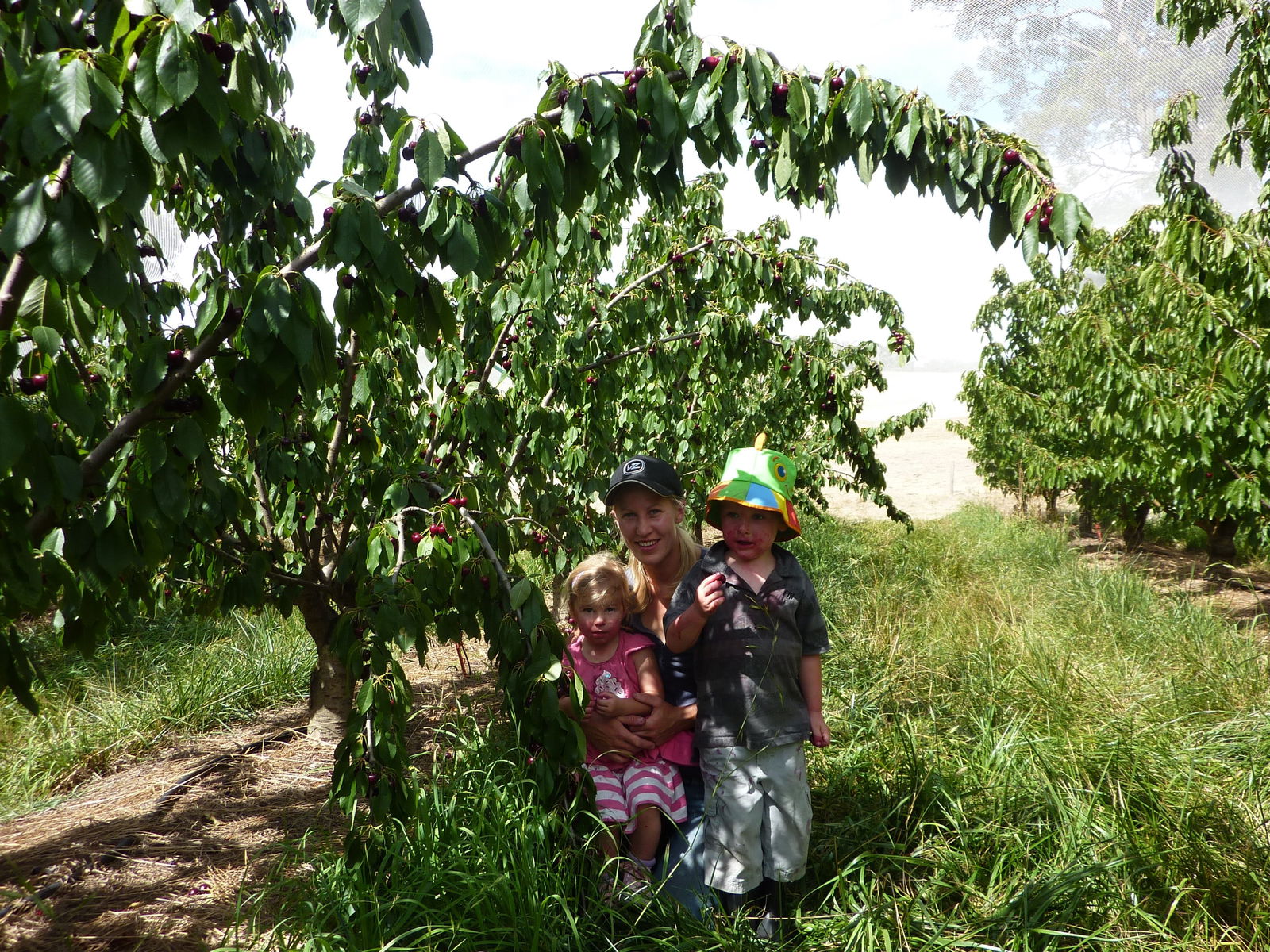 Adelaide Hills SA Hervey Bay Accommodation