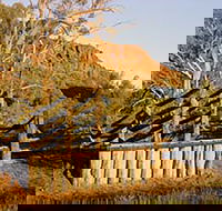 Illamurta Springs Conservation Reserve - Hervey Bay Accommodation