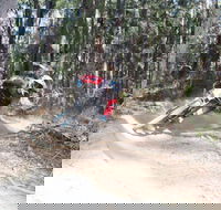 Jolly Nose Mountain Bike Park - Hervey Bay Accommodation