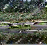 Kayaking Upper Tuross River and Bumbo Lake - Hervey Bay Accommodation