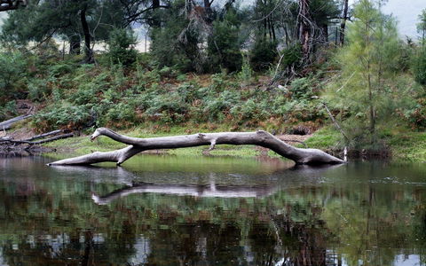 Kayaking Upper Tuross River And Bumbo Lake - Tourism Hervey Bay 0