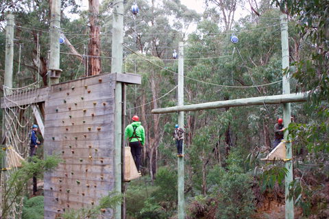 Kinglake Forest Adventures - Hervey Bay Accommodation 1