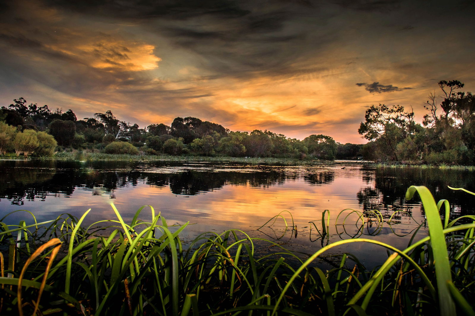  Tourism Hervey Bay