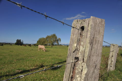 Macleay Valley Coast – Bellbrook Scenic Drive - Tourism Hervey Bay 1