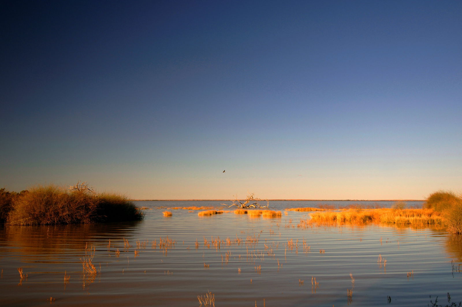 Innamincka SA Hervey Bay Accommodation