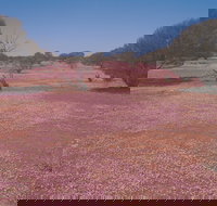 Meekatharra - Hervey Bay Accommodation