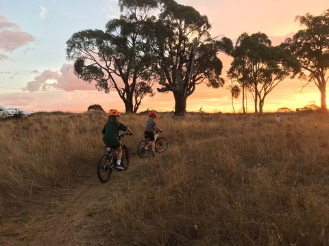 Mountain Bike Trails Tumbarumba - Hervey Bay Accommodation 2