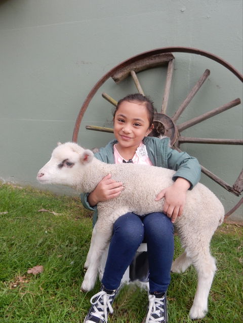 Myuna Farm - Hervey Bay Accommodation 0