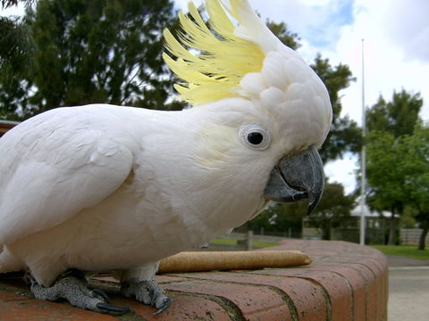 Myuna Farm - Hervey Bay Accommodation 1