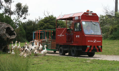 Myuna Farm - Hervey Bay Accommodation 2