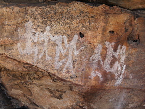 Ngamadjidj Shelter - Wartook Valley - Tourism Hervey Bay 0