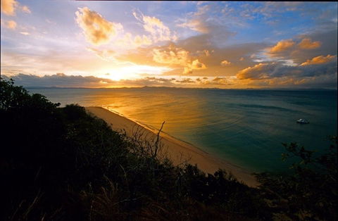 North Keppel Island Hilltop Trail - Hervey Bay Accommodation 0