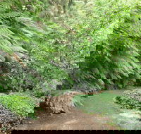 Pirianda Gardens - Hervey Bay Accommodation