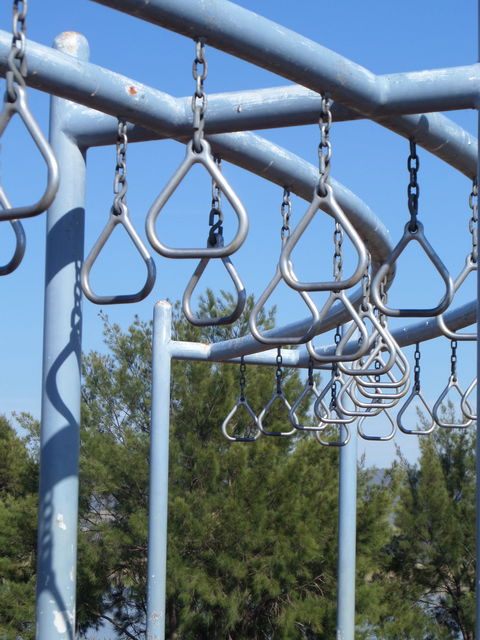 Point Hut Pond Park - Tourism Hervey Bay 2