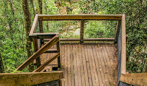 Somersby Falls Walking Track - Hervey Bay Accommodation 0