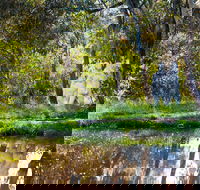 Strathnairn Arts - Tourism Hervey Bay